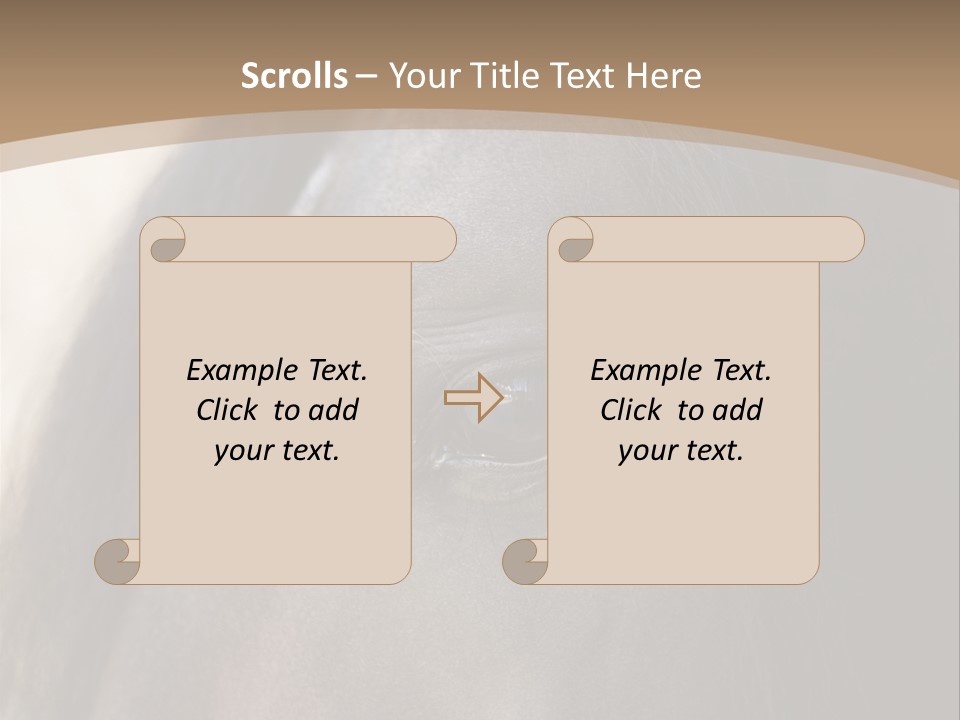 Bay Images Fineartprints PowerPoint Template