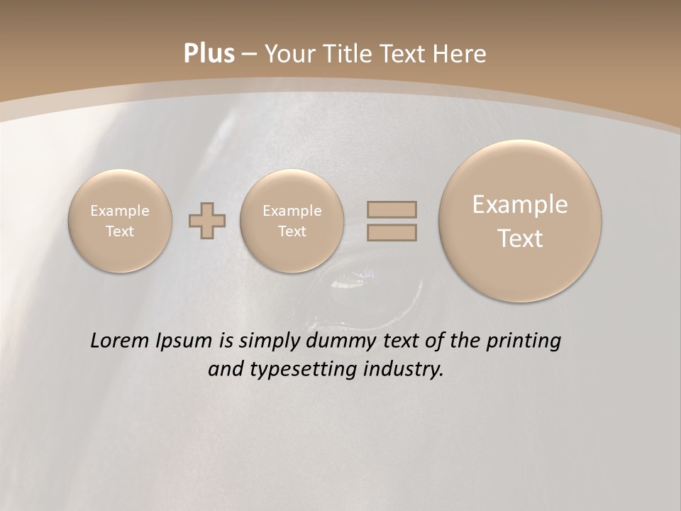 Bay Images Fineartprints PowerPoint Template