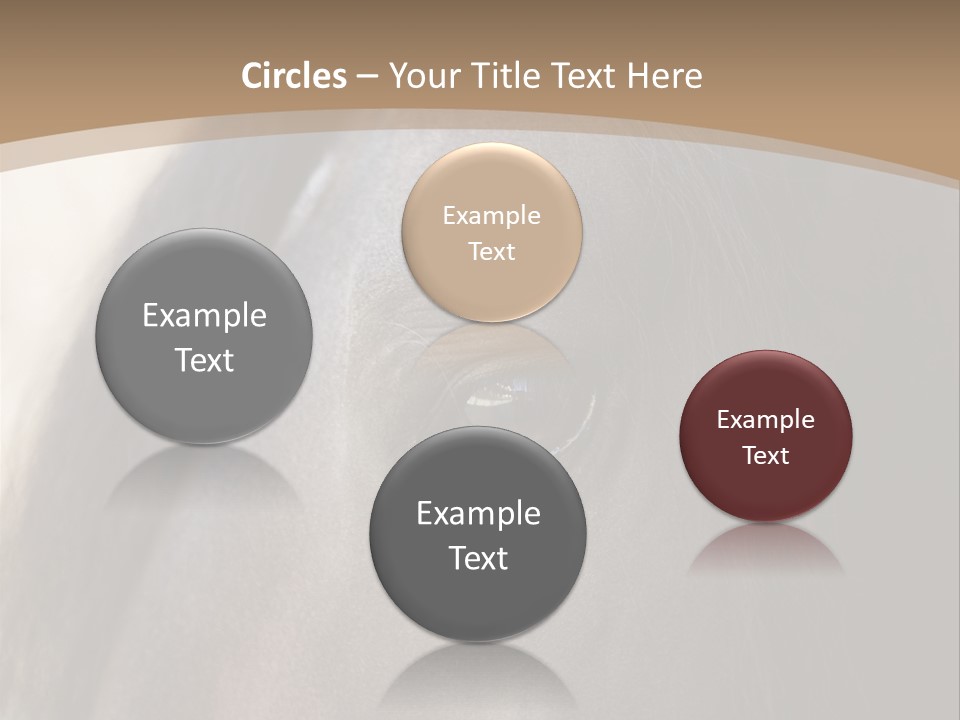 Bay Images Fineartprints PowerPoint Template