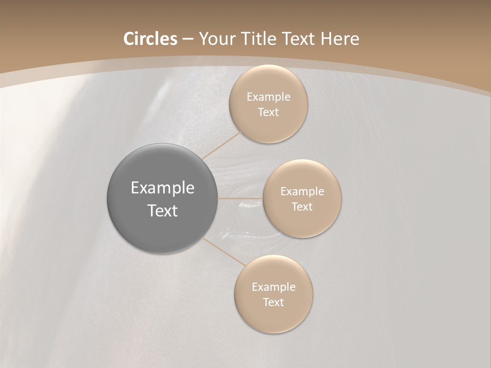 Bay Images Fineartprints PowerPoint Template