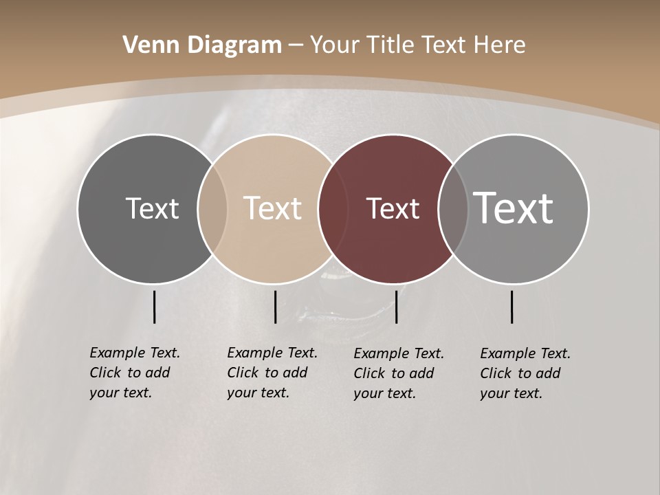 Bay Images Fineartprints PowerPoint Template