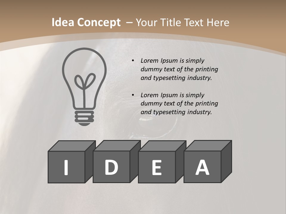 Bay Images Fineartprints PowerPoint Template