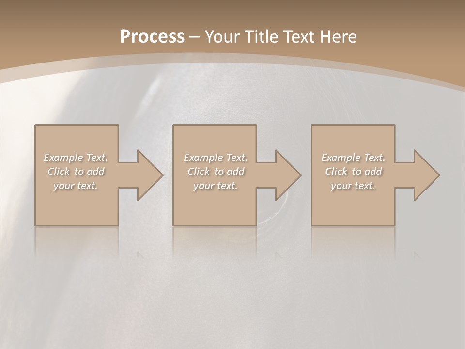 Bay Images Fineartprints PowerPoint Template