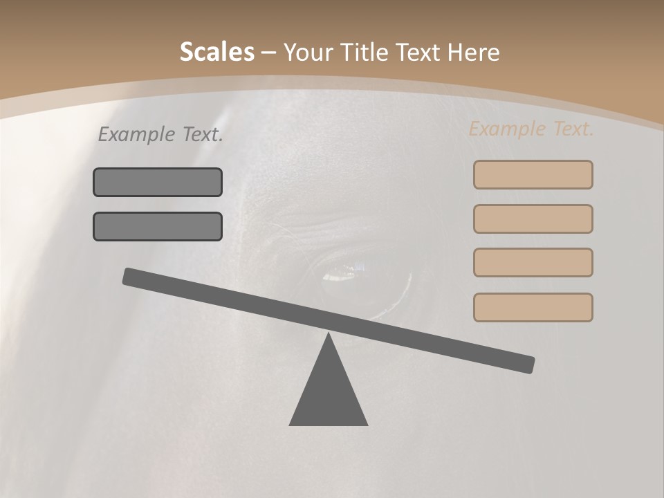 Bay Images Fineartprints PowerPoint Template