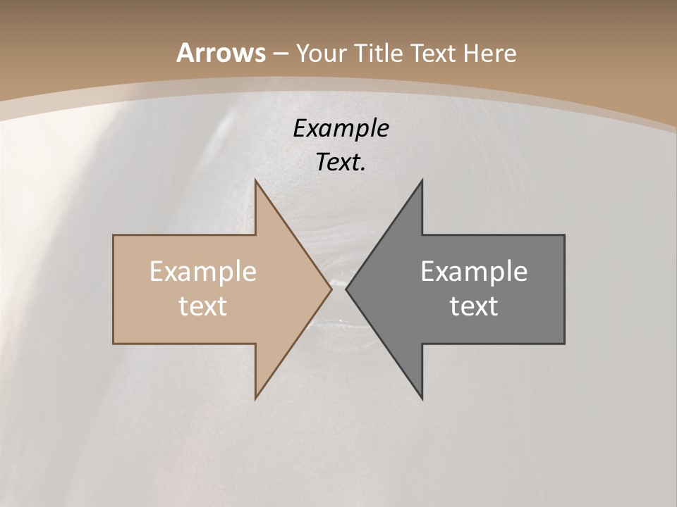 Bay Images Fineartprints PowerPoint Template