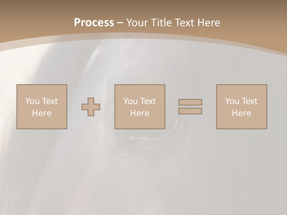 Bay Images Fineartprints PowerPoint Template