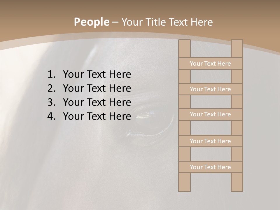 Bay Images Fineartprints PowerPoint Template