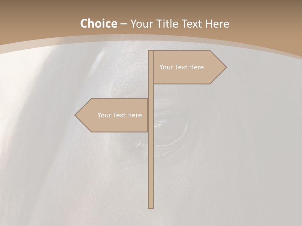 Bay Images Fineartprints PowerPoint Template
