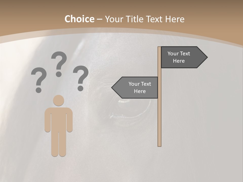 Bay Images Fineartprints PowerPoint Template