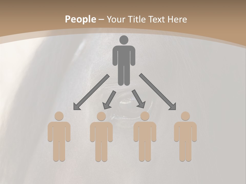 Bay Images Fineartprints PowerPoint Template