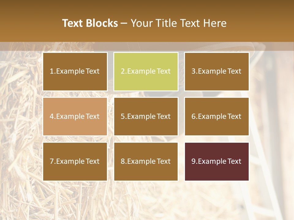 Leg Rubberboot Graphic PowerPoint Template