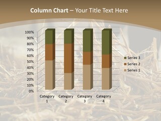 Working Hay Outdoor PowerPoint Template