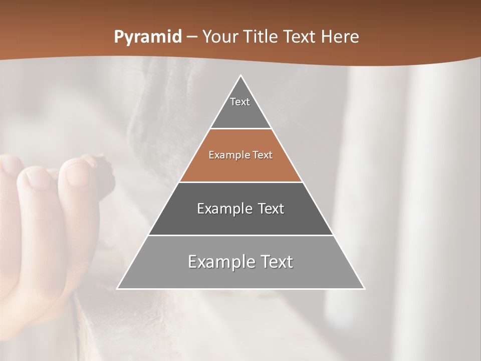 Royaltyfree Teenager Positive PowerPoint Template