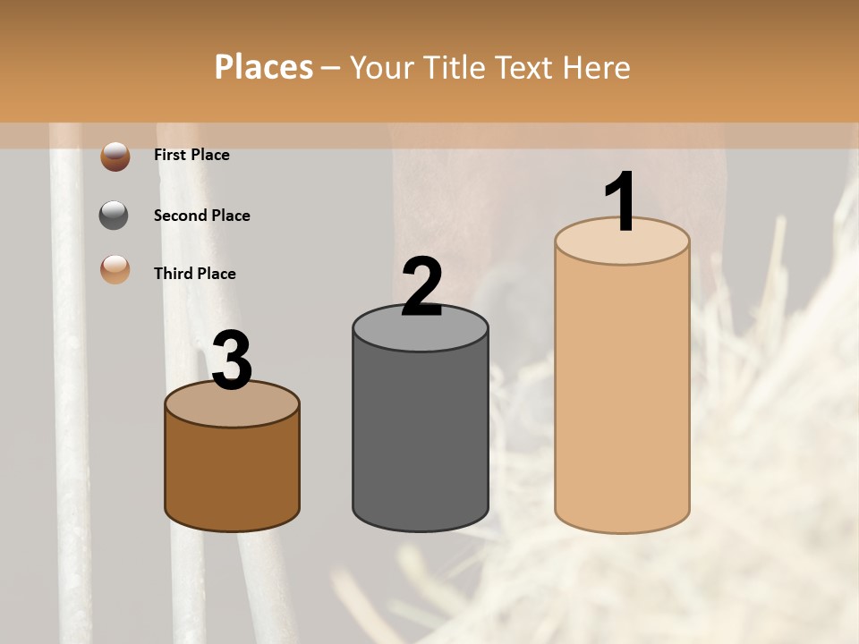 Images Brown Graphic PowerPoint Template