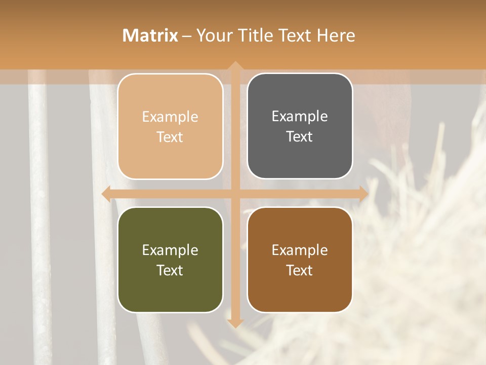 Images Brown Graphic PowerPoint Template