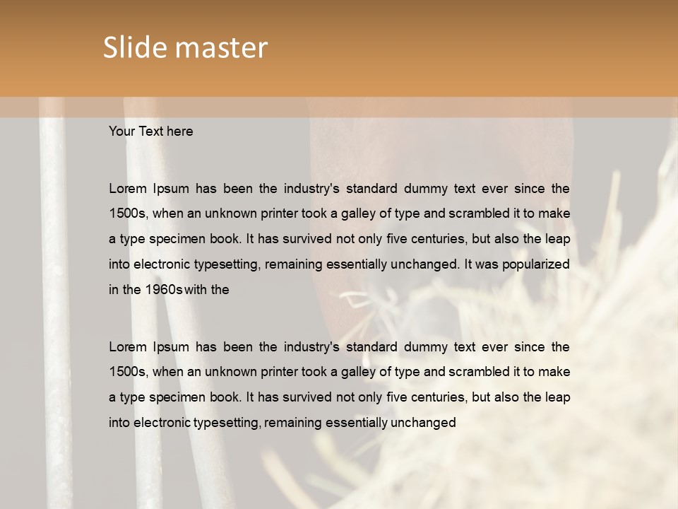 Images Brown Graphic PowerPoint Template