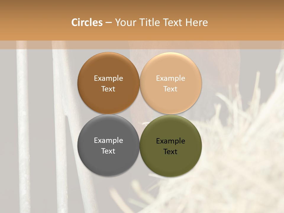 Images Brown Graphic PowerPoint Template