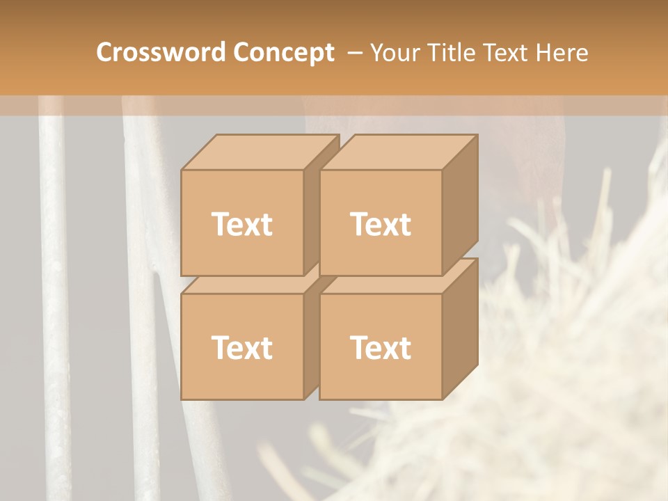 Images Brown Graphic PowerPoint Template