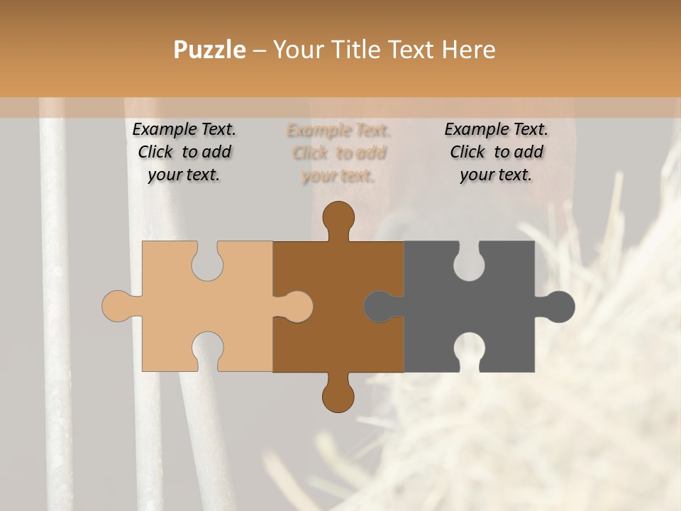 Images Brown Graphic PowerPoint Template