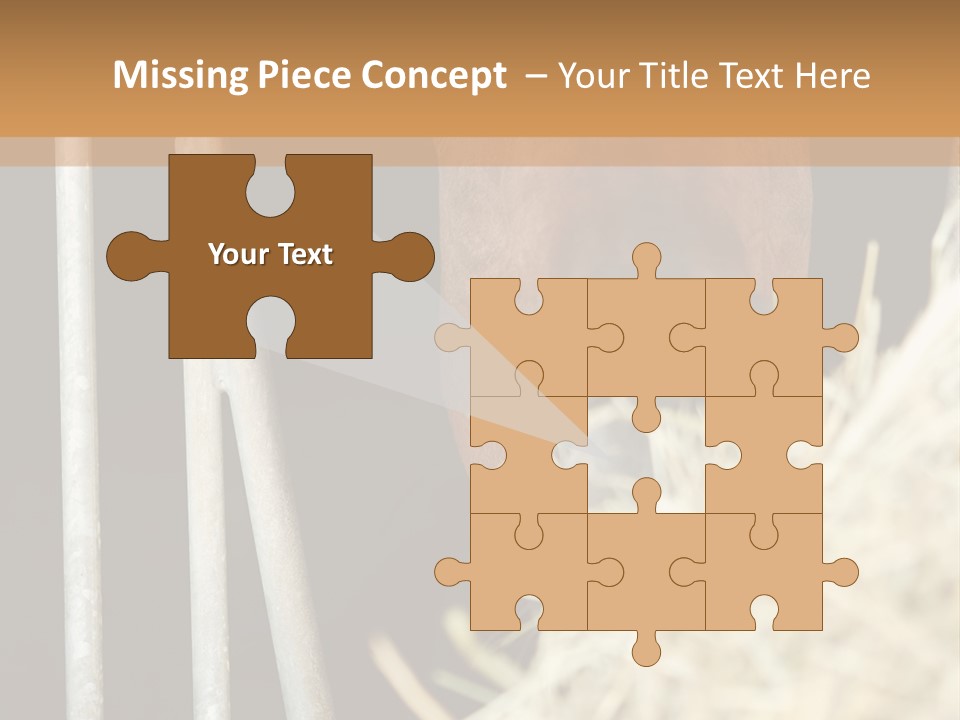 Images Brown Graphic PowerPoint Template