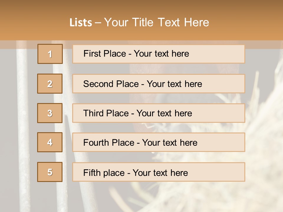 Images Brown Graphic PowerPoint Template
