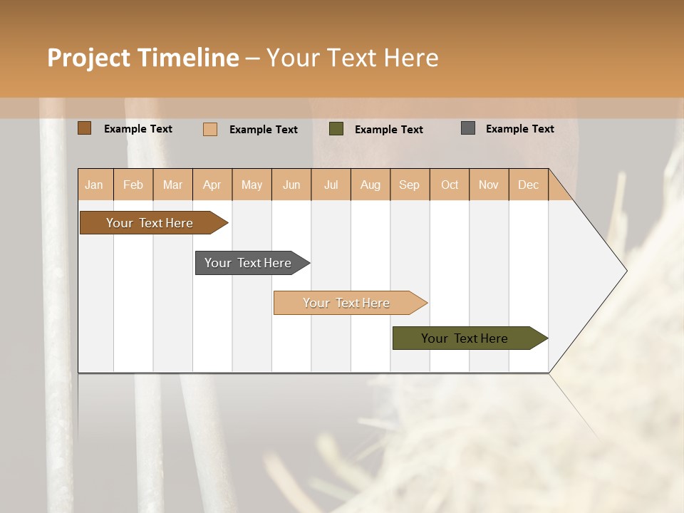 Images Brown Graphic PowerPoint Template