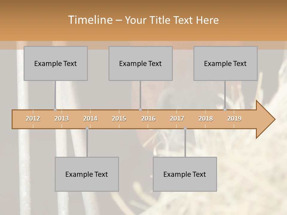 Images Brown Graphic PowerPoint Template