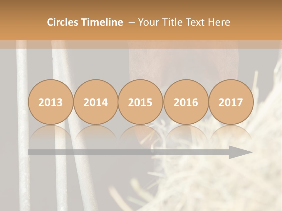 Images Brown Graphic PowerPoint Template