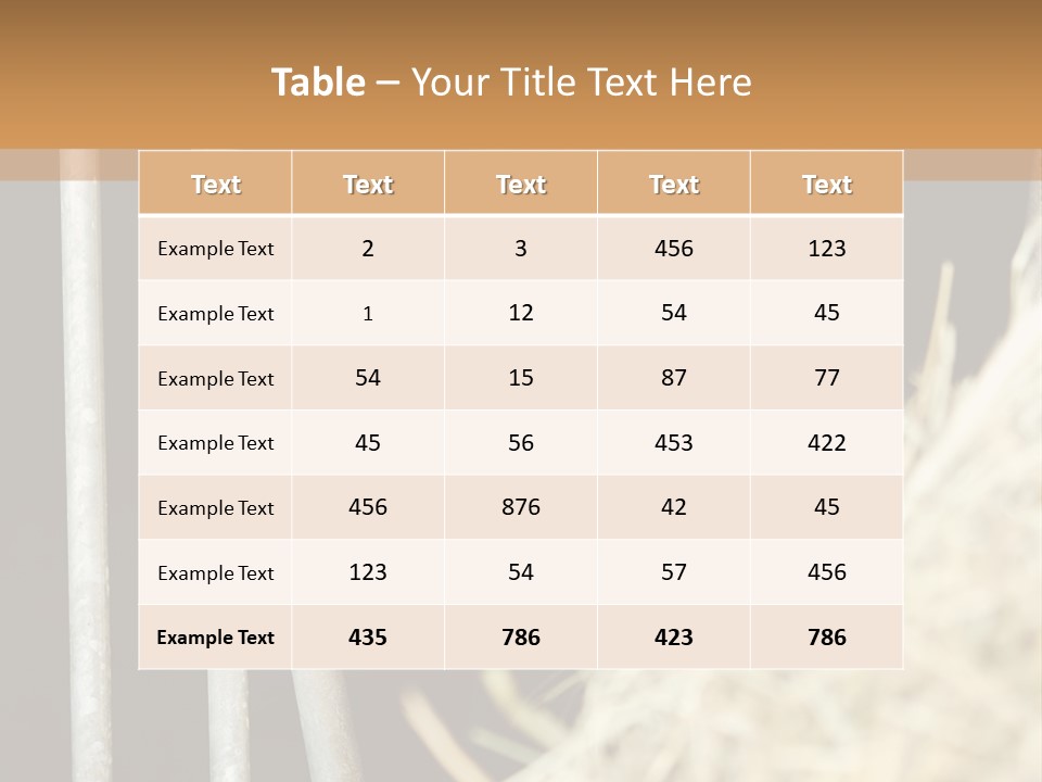 Images Brown Graphic PowerPoint Template