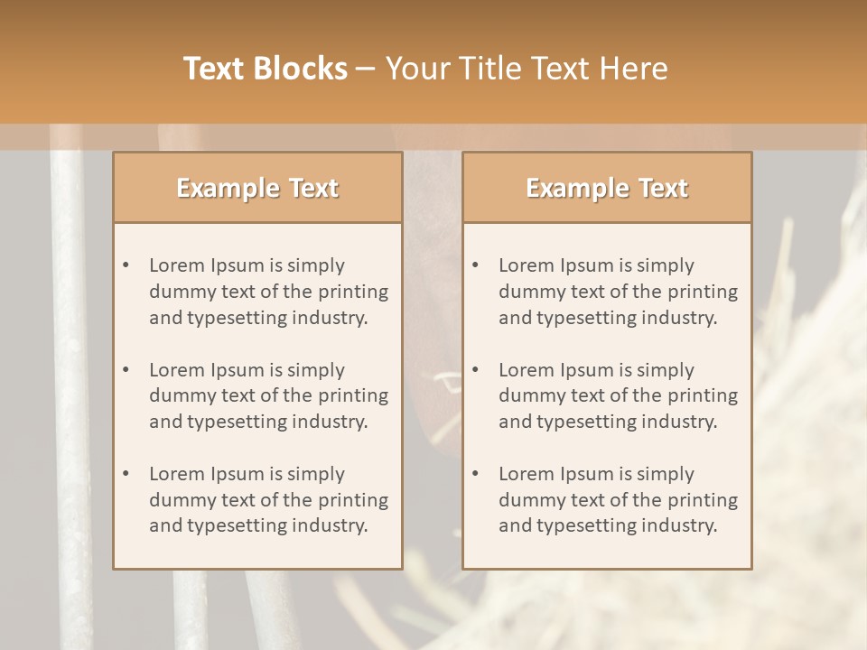 Images Brown Graphic PowerPoint Template