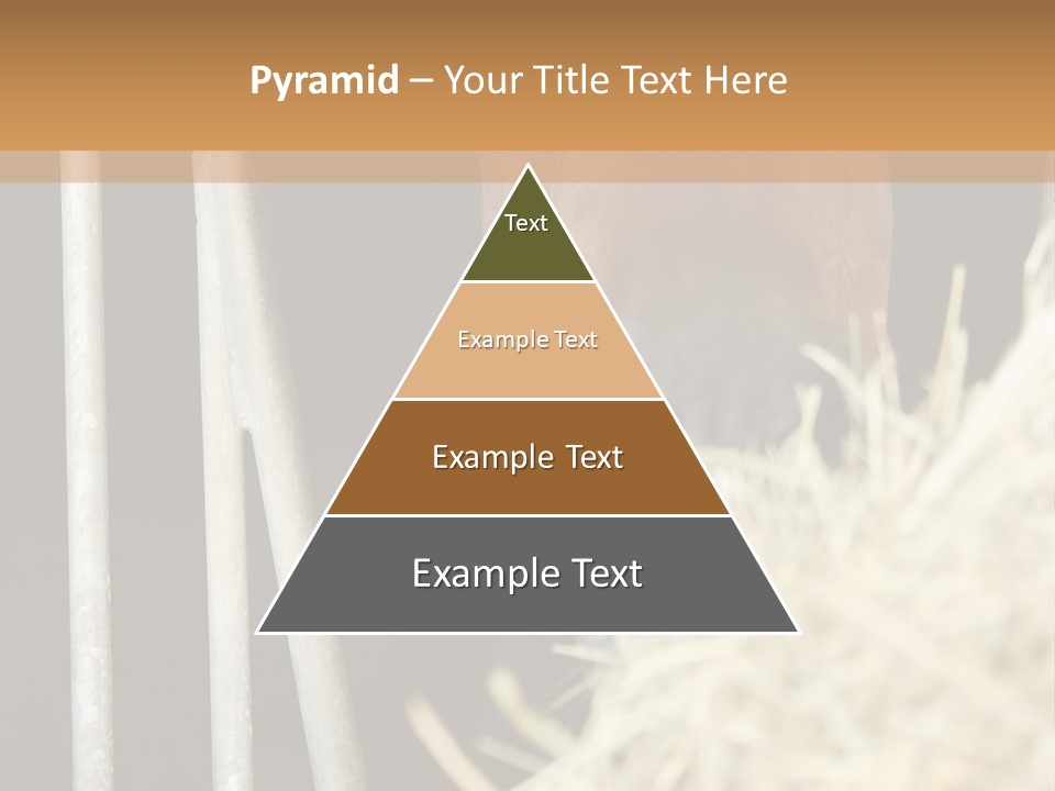 Images Brown Graphic PowerPoint Template