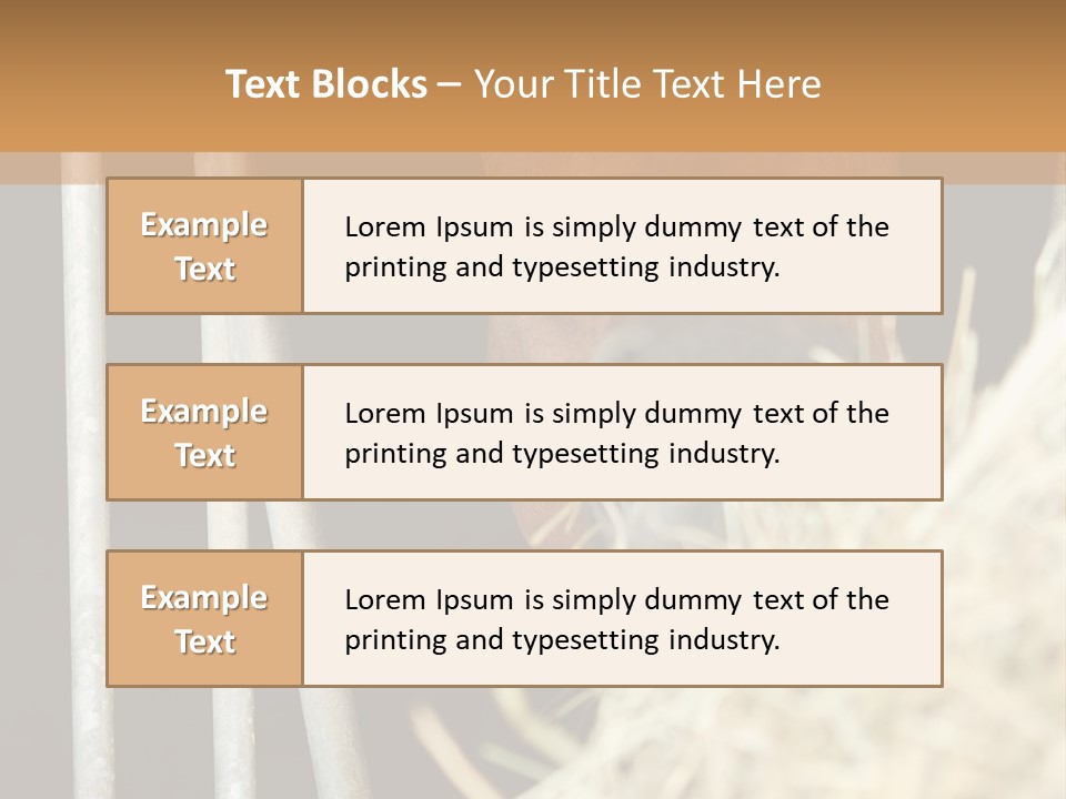 Images Brown Graphic PowerPoint Template