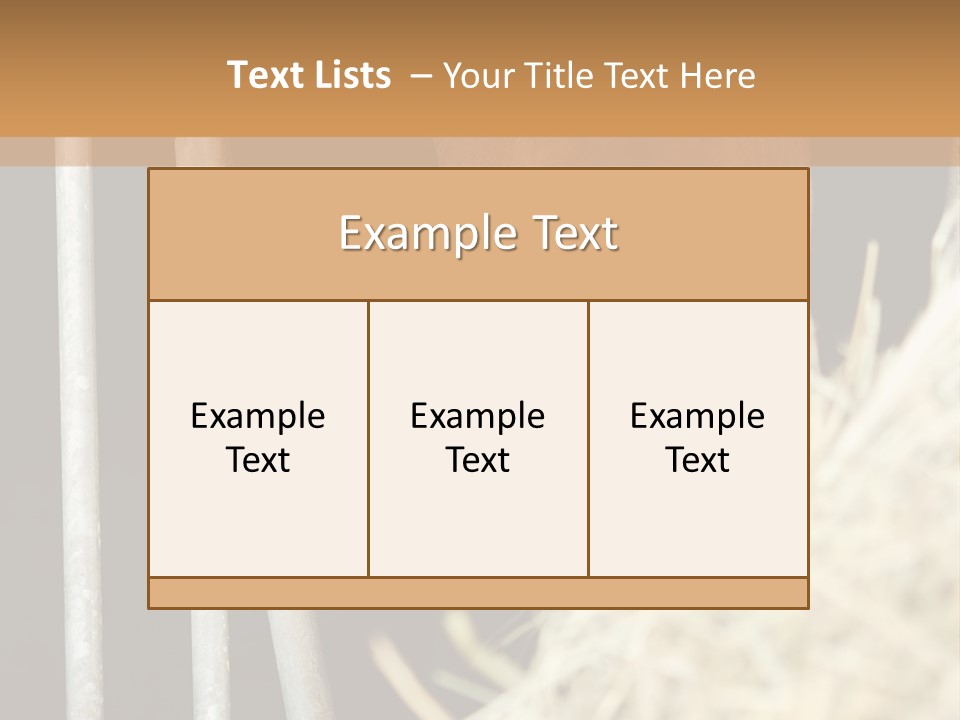 Images Brown Graphic PowerPoint Template