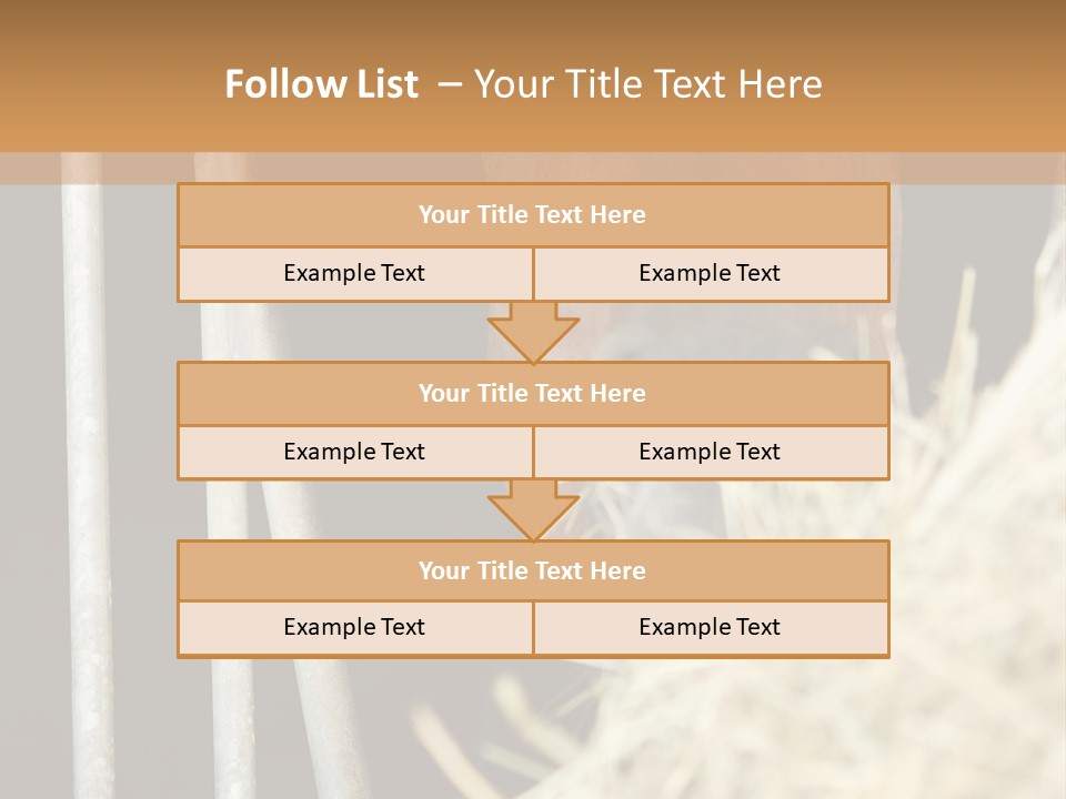 Images Brown Graphic PowerPoint Template