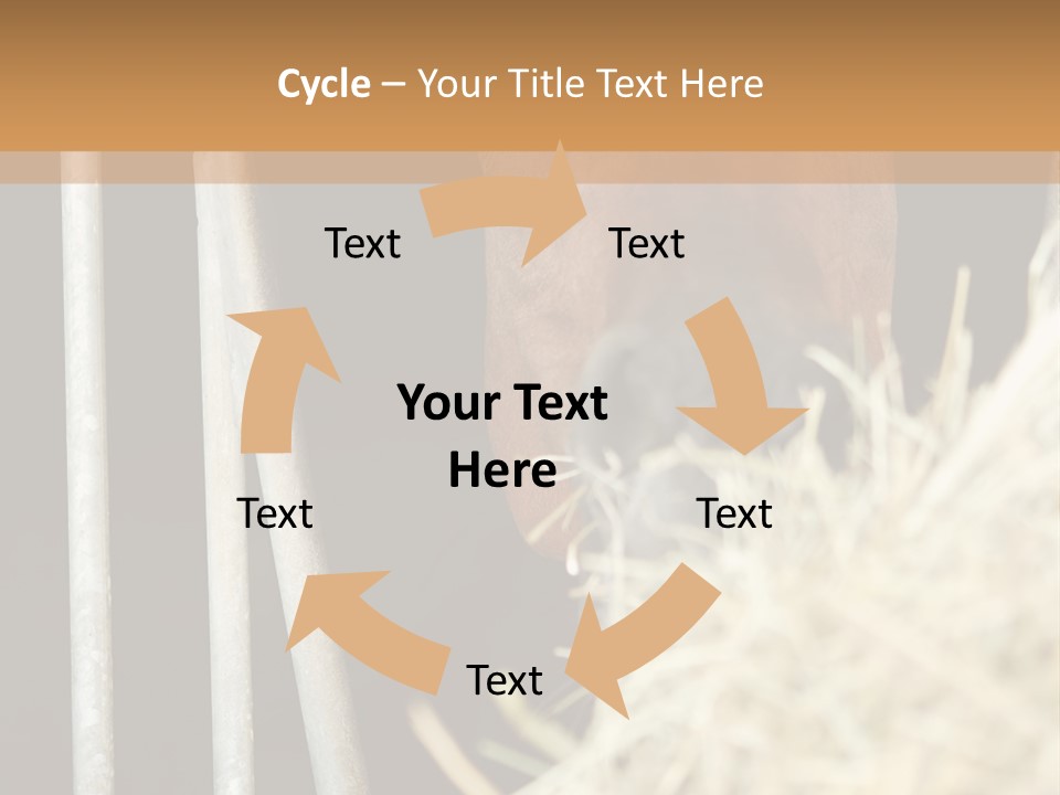 Images Brown Graphic PowerPoint Template