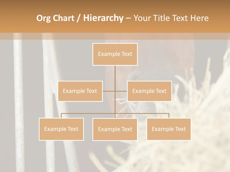 Images Brown Graphic PowerPoint Template