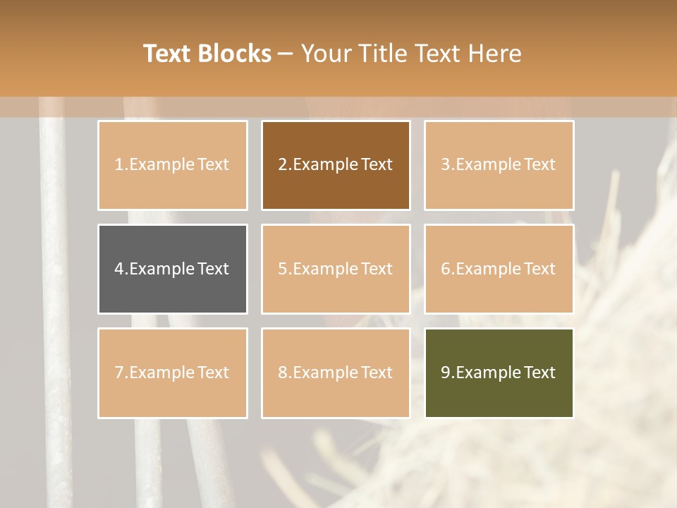 Images Brown Graphic PowerPoint Template