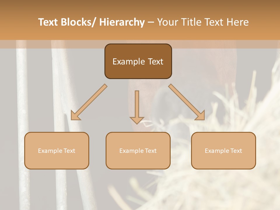 Images Brown Graphic PowerPoint Template