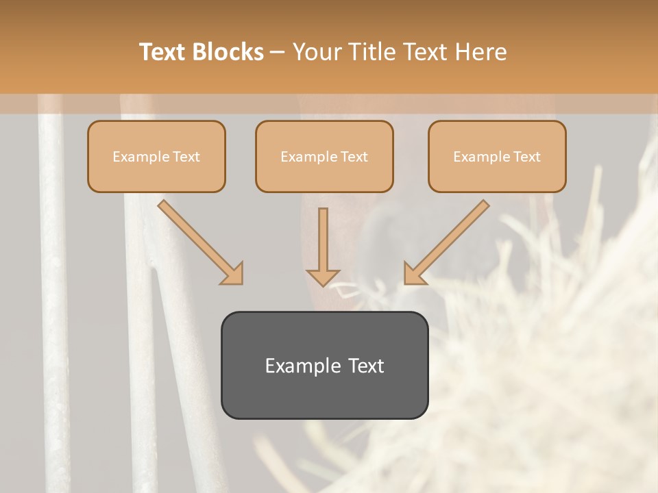 Images Brown Graphic PowerPoint Template