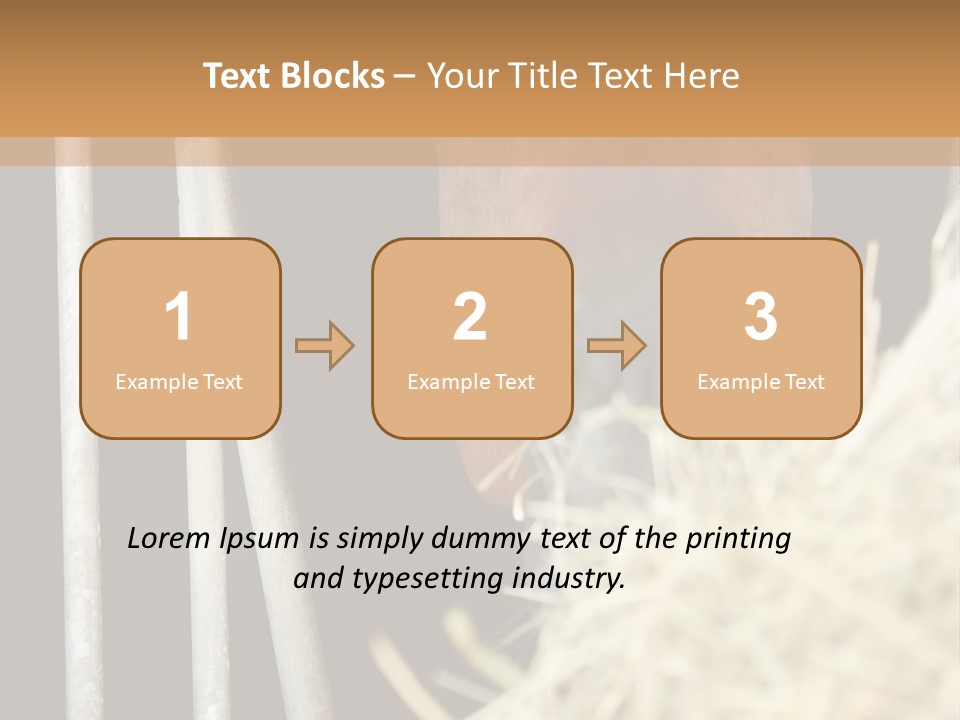 Images Brown Graphic PowerPoint Template