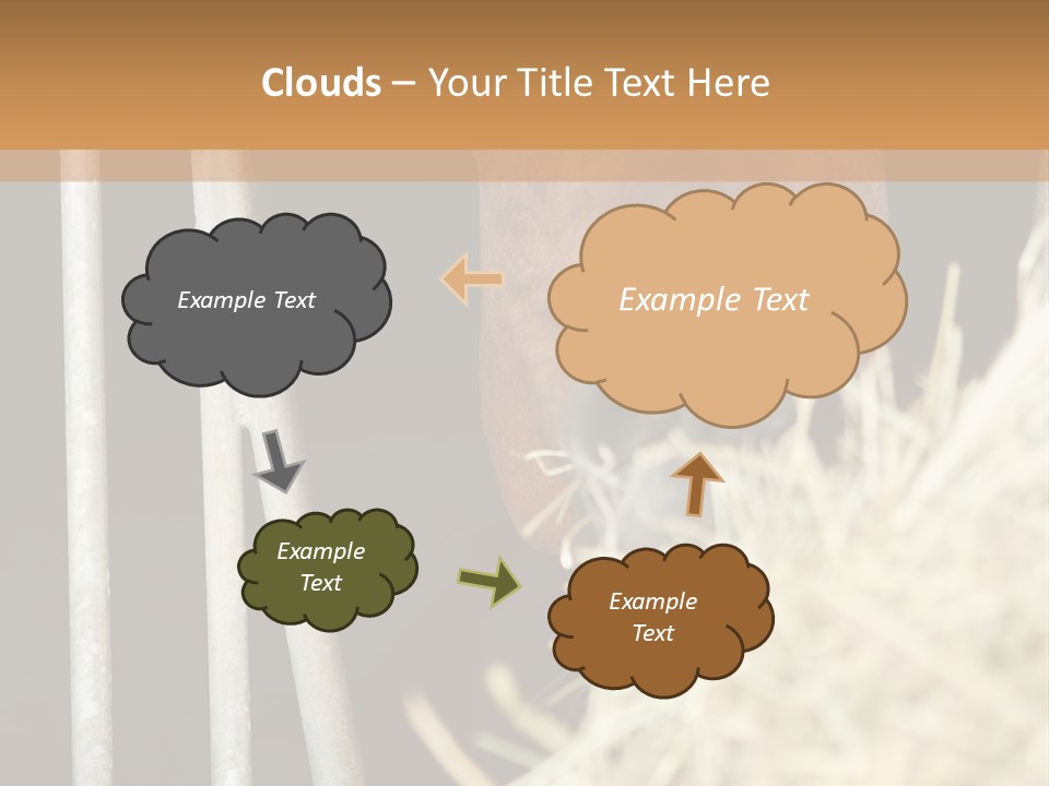Images Brown Graphic PowerPoint Template