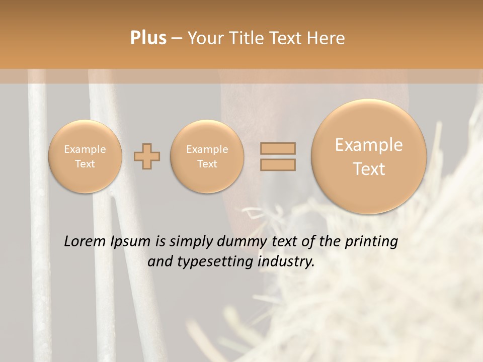 Images Brown Graphic PowerPoint Template