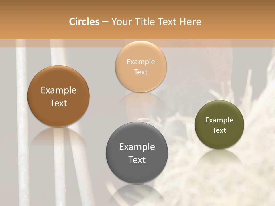Images Brown Graphic PowerPoint Template