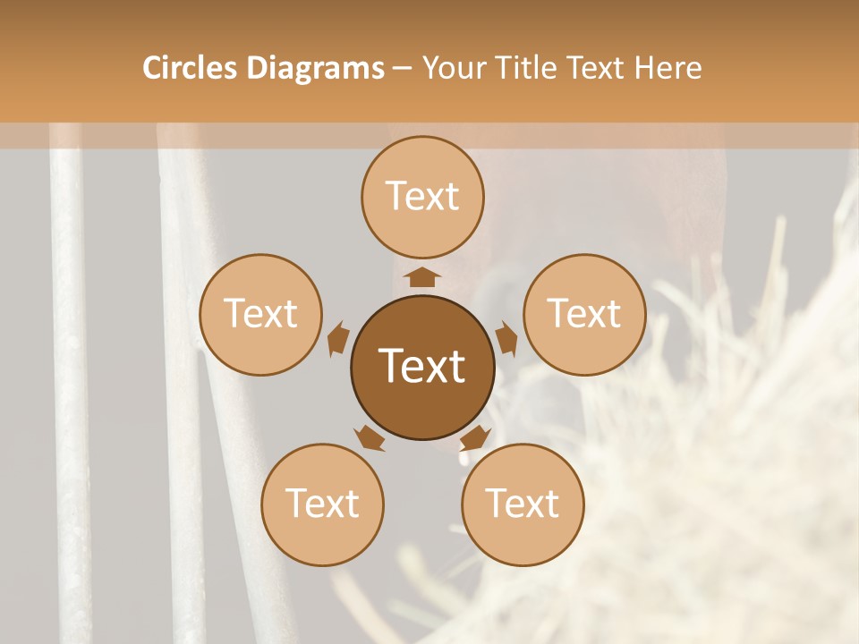 Images Brown Graphic PowerPoint Template