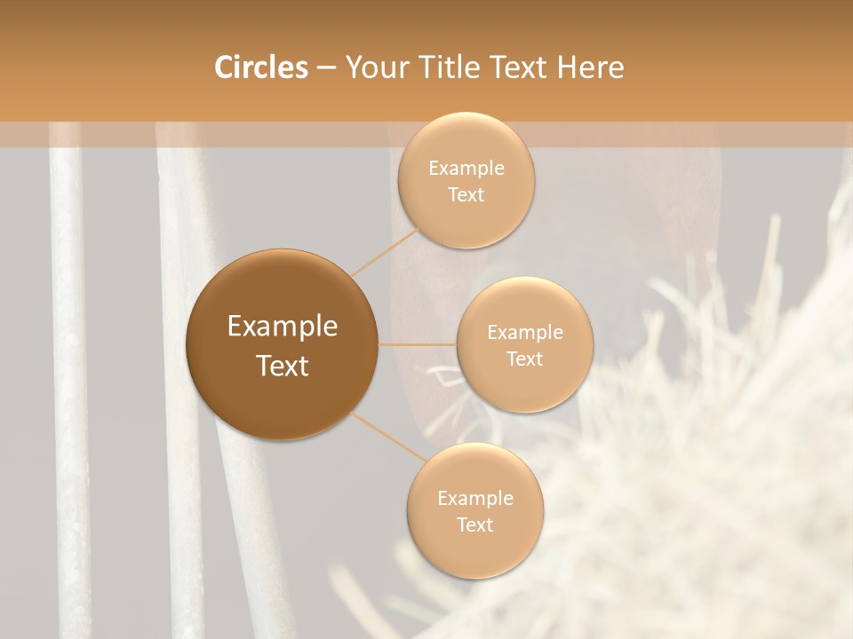 Images Brown Graphic PowerPoint Template