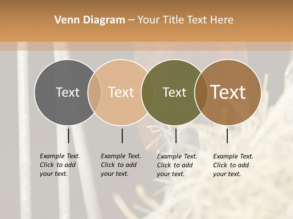 Images Brown Graphic PowerPoint Template