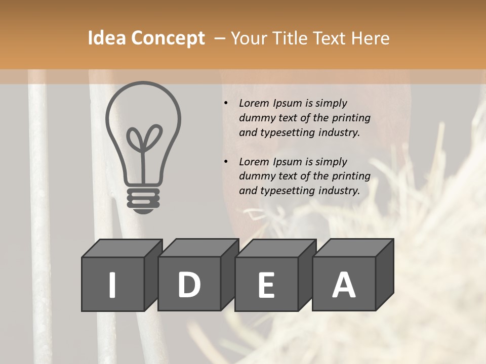 Images Brown Graphic PowerPoint Template