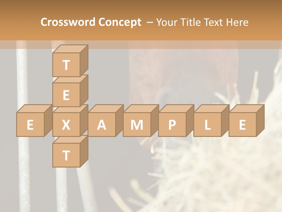 Images Brown Graphic PowerPoint Template
