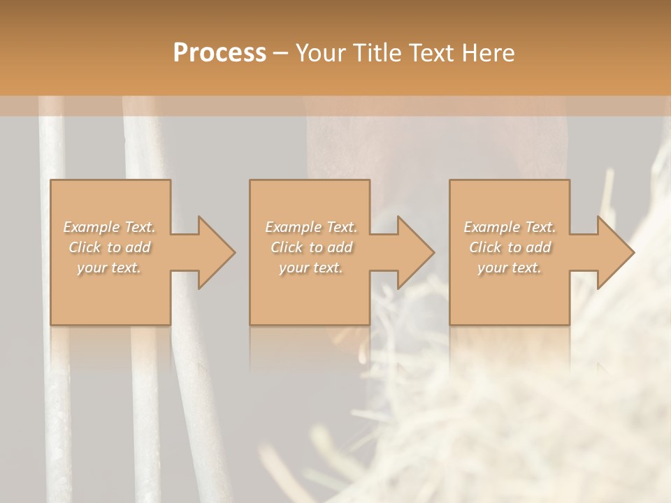 Images Brown Graphic PowerPoint Template