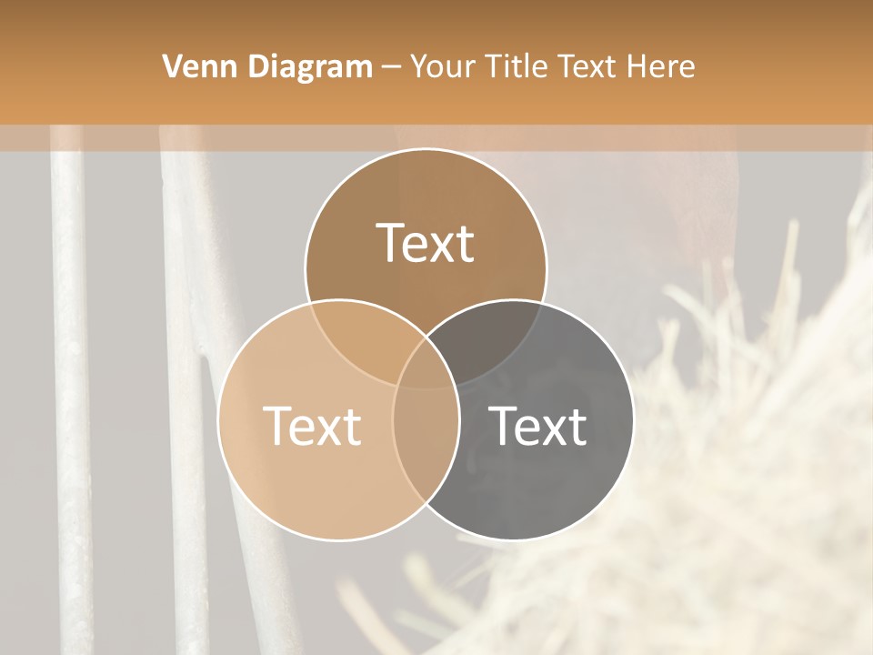 Images Brown Graphic PowerPoint Template